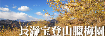 ���ҕ�o�R�c�~��