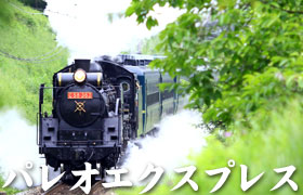 秩父路のSLパレオエクスプレス