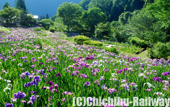 両神花しょうぶ園 (りょうかみはなしょうぶえん)