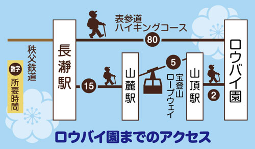 長瀞宝登山ロウバイ園
