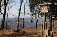 宝登山山頂