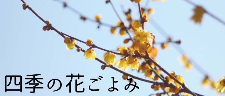四季の花ごよみ