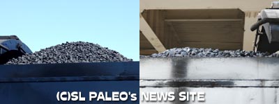 PALEOの石炭（左）運転前（右）運転後