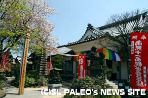 札所15番少林寺の八重桜