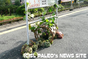 花浄土の郷2