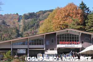 宝登山の紅葉