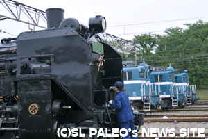 準備中・PALEOとデキくんたち