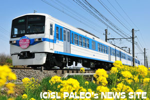 ことしの急行芝桜号