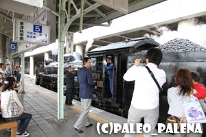 きょうのPALEO♪