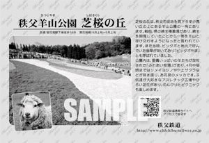 芝桜用急行券　オリジナル台紙イメージ（裏面）