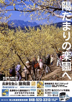 長瀞宝登山臘梅園パンフレット表面