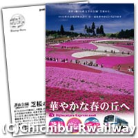 芝桜のオリジナルポストカード