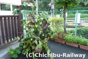 武州日野駅の飾り