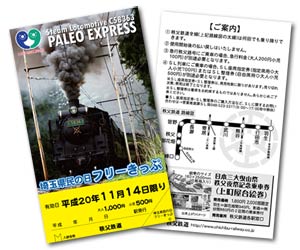 埼玉県民の日フリーきっぷ見本