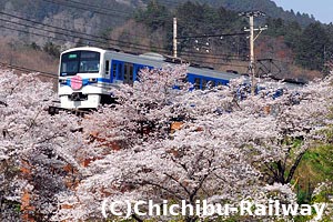 昨年の急行さくら号