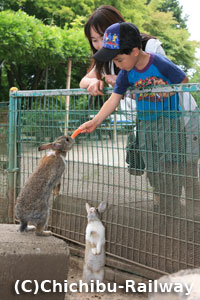 宝登山小動物公園