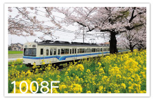 1008号