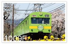 1009号