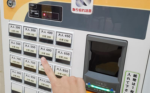 3. 원하는 옵션을 선택합니다.