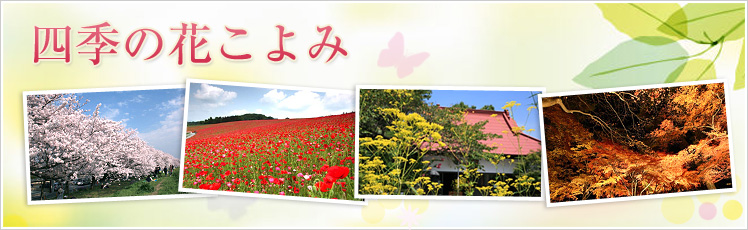 四季の花こよみ