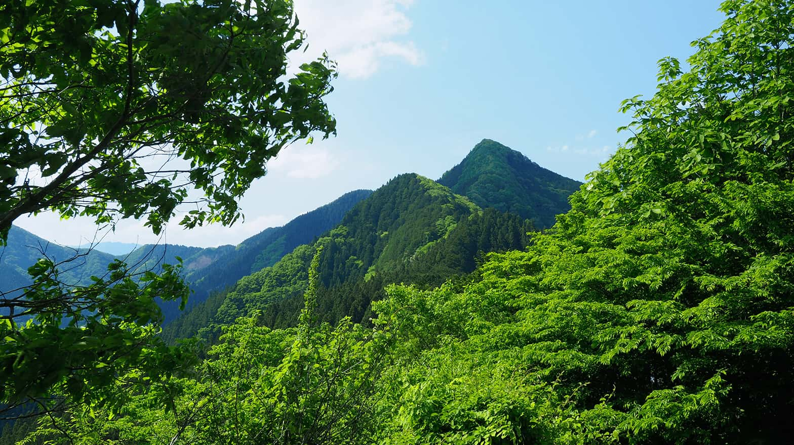 秩父鉄道 - ハイキング情報