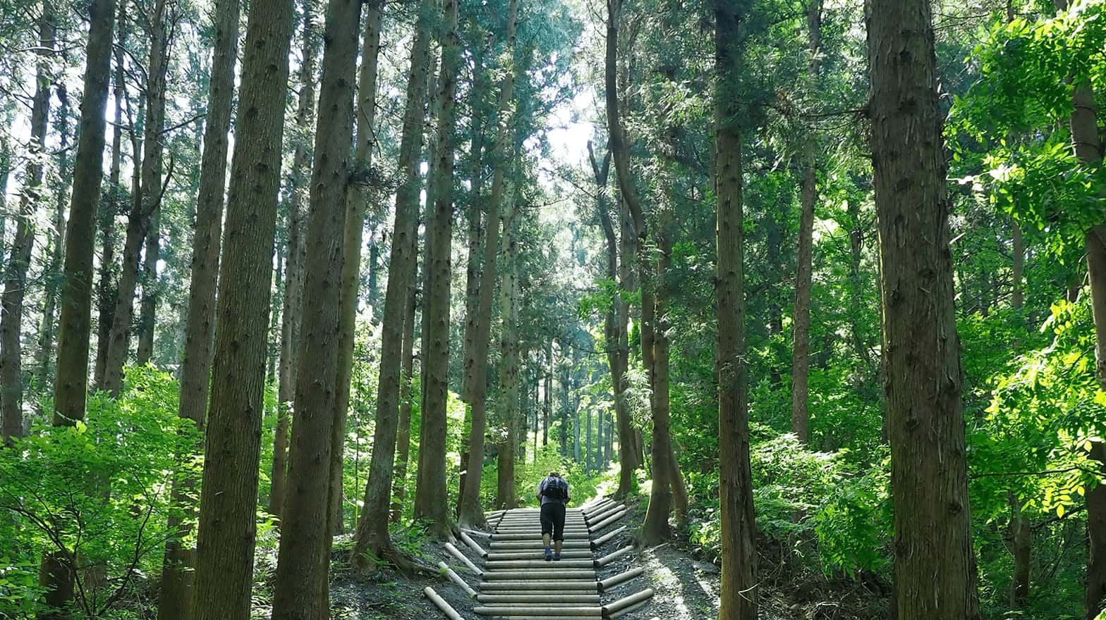 秩父鉄道 - ハイキング情報