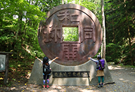 ハイキング情報