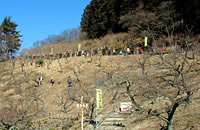 宝登山ロープウェイ山頂駅前