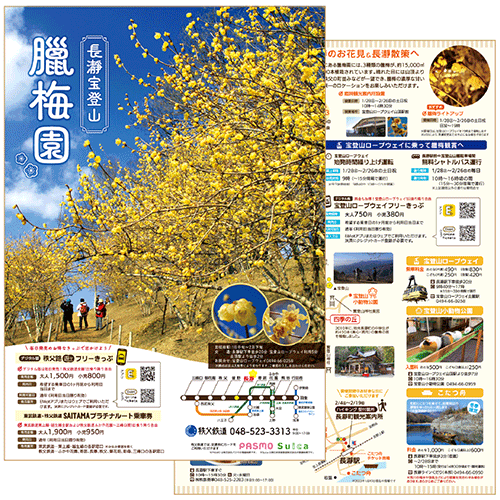 長瀞宝登山臘梅園A4パンフレット