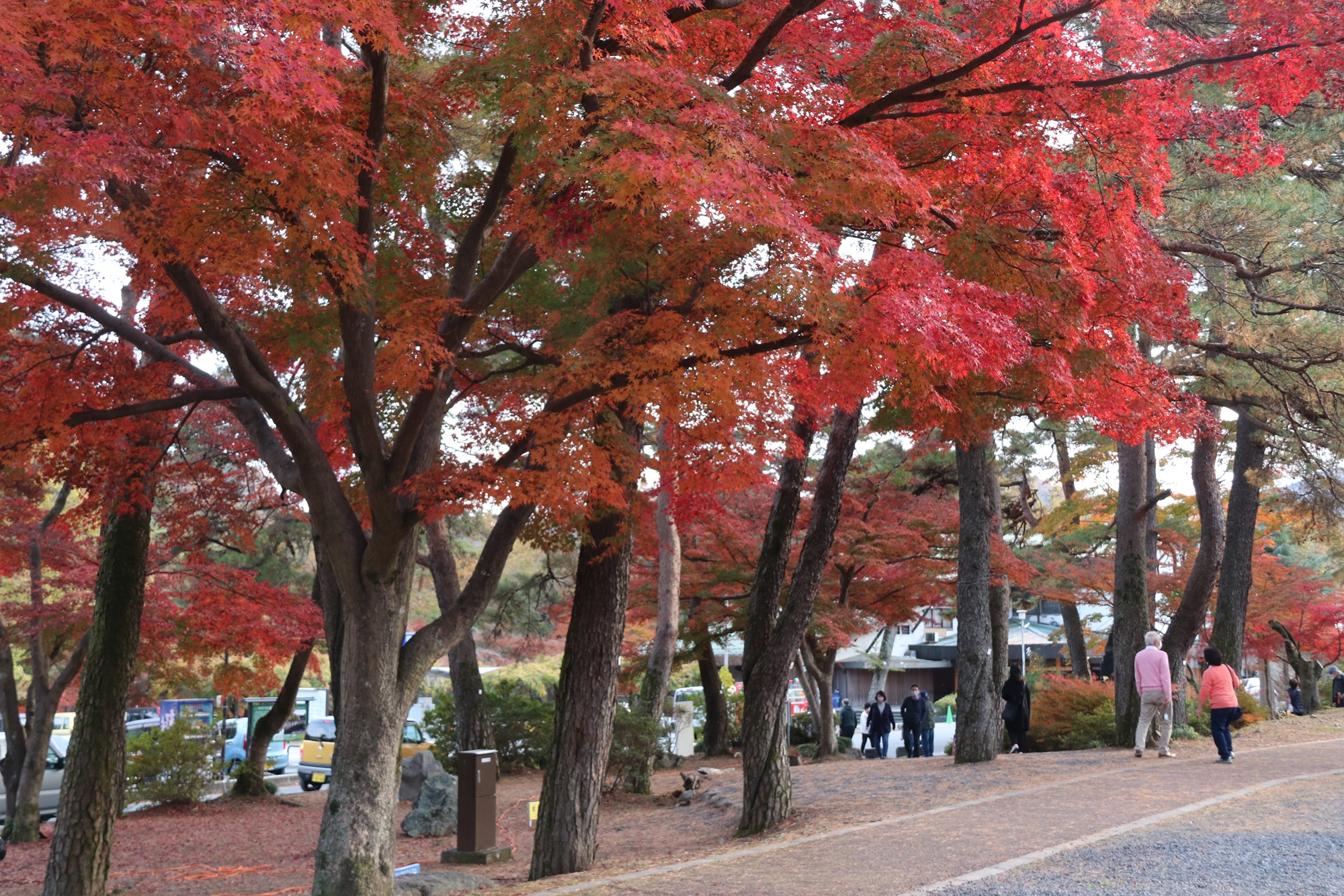 埼玉県立自然の博物館