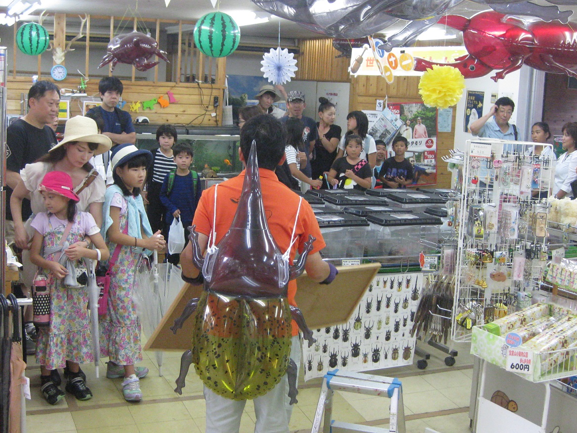 カブトムシ即売会