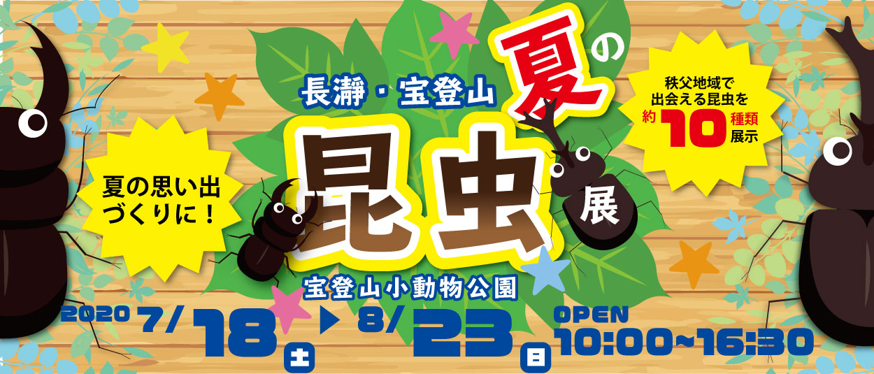 第5回世界のカブトムシ&クワガタ展2019