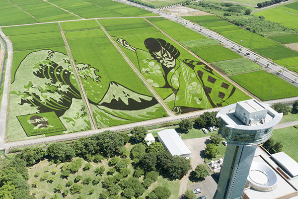 田んぼアート（イメージ）