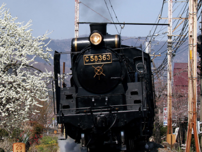 치치부 철도를 타고 사이타마현의 역사와 자연의 아름다움을 즐겨 보세요 2