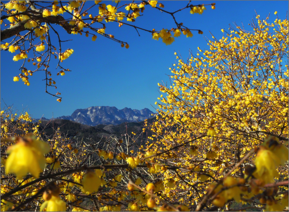 Hodosan summit area 2