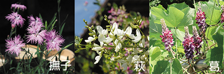 8/22（水）～26（日）長瀞七草寺めぐりハイキング（撫子・萩・葛の寺…