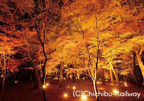 月の石もみじ公園