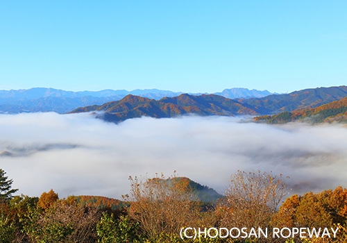 【宝登山ロープウェイ】雲海観賞便の運行≪終了≫