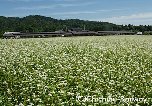 秩父市荒川　そば処「花見の里」