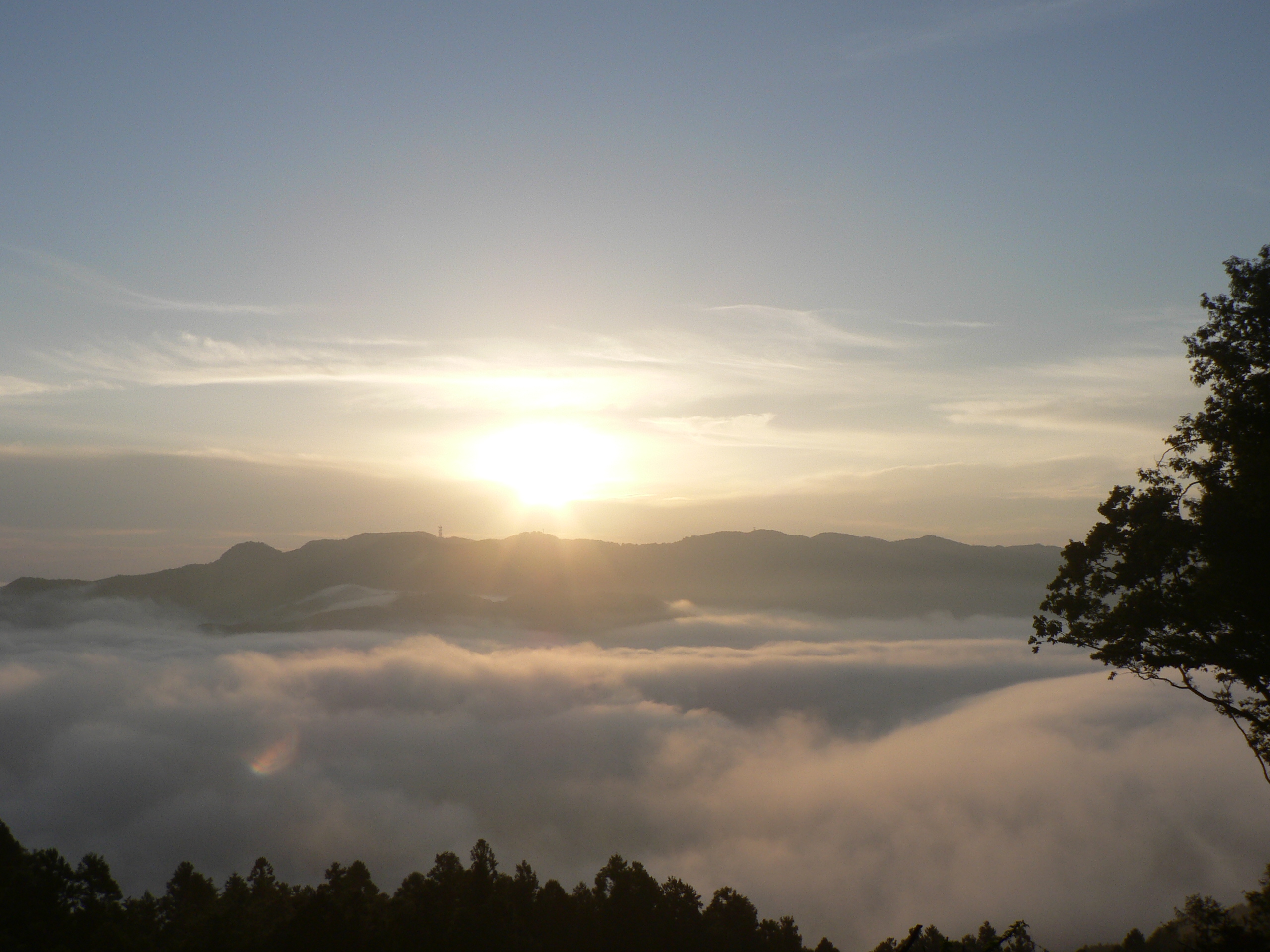 宝登山からの雲海　イメージ